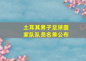 土耳其男子足球国家队队员名单公布