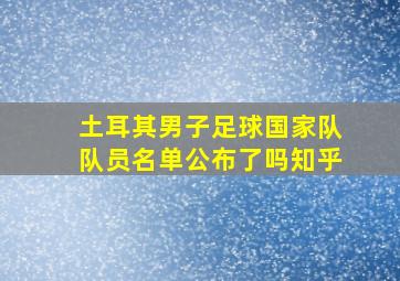 土耳其男子足球国家队队员名单公布了吗知乎