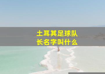 土耳其足球队长名字叫什么