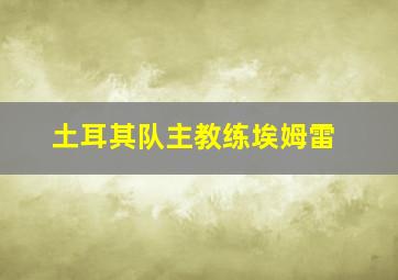 土耳其队主教练埃姆雷