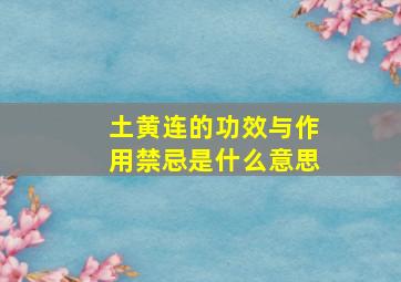 土黄连的功效与作用禁忌是什么意思