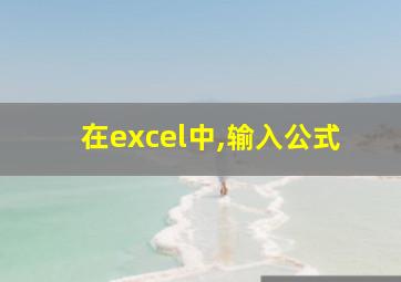 在excel中,输入公式