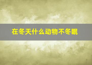 在冬天什么动物不冬眠