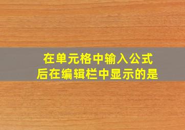 在单元格中输入公式后在编辑栏中显示的是