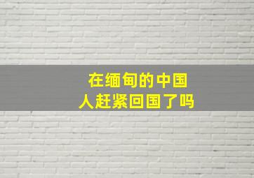 在缅甸的中国人赶紧回国了吗