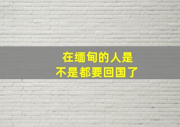 在缅甸的人是不是都要回国了