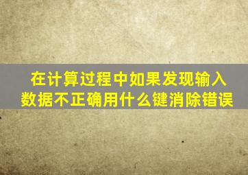 在计算过程中如果发现输入数据不正确用什么键消除错误