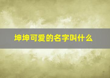 坤坤可爱的名字叫什么