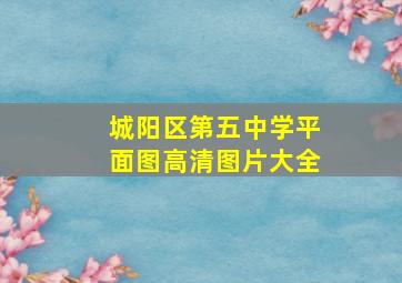 城阳区第五中学平面图高清图片大全