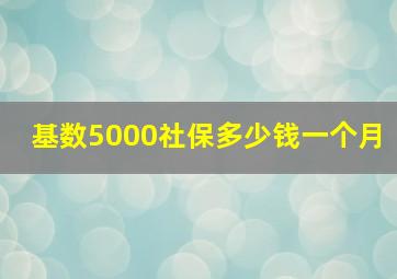 基数5000社保多少钱一个月