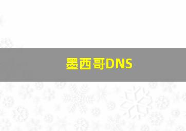 墨西哥DNS