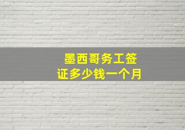 墨西哥务工签证多少钱一个月