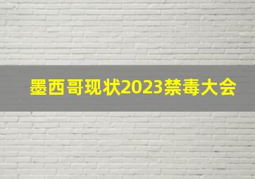 墨西哥现状2023禁毒大会