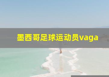 墨西哥足球运动员vaga