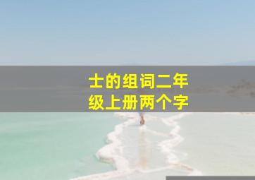 士的组词二年级上册两个字