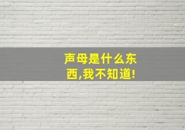 声母是什么东西,我不知道!