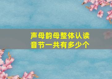 声母韵母整体认读音节一共有多少个