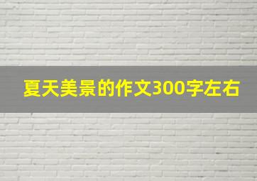 夏天美景的作文300字左右