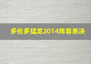 多伦多猛龙2014阵容表决