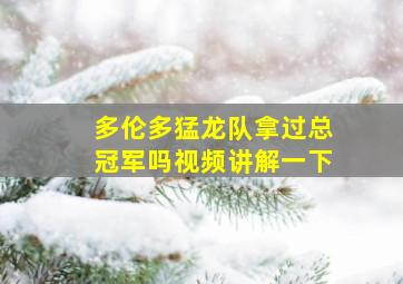 多伦多猛龙队拿过总冠军吗视频讲解一下