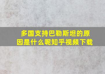 多国支持巴勒斯坦的原因是什么呢知乎视频下载