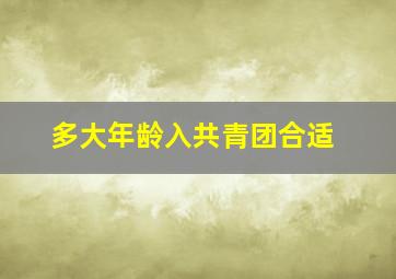 多大年龄入共青团合适