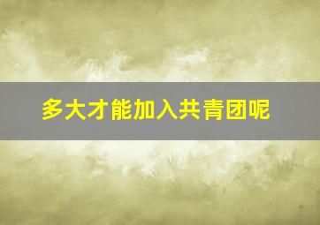 多大才能加入共青团呢