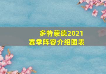 多特蒙德2021赛季阵容介绍图表