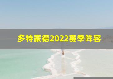 多特蒙德2022赛季阵容