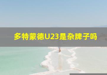 多特蒙德U23是杂牌子吗