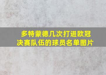 多特蒙德几次打进欧冠决赛队伍的球员名单图片