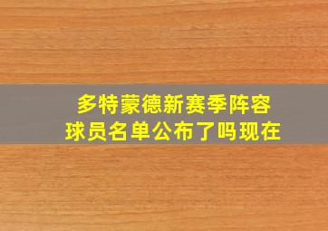 多特蒙德新赛季阵容球员名单公布了吗现在