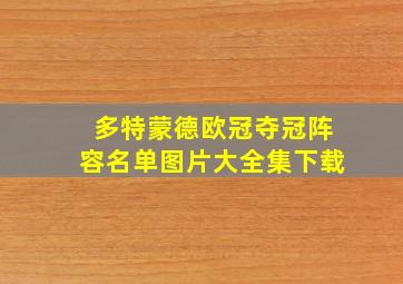 多特蒙德欧冠夺冠阵容名单图片大全集下载