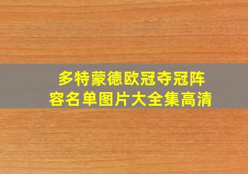 多特蒙德欧冠夺冠阵容名单图片大全集高清