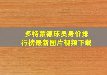 多特蒙德球员身价排行榜最新图片视频下载