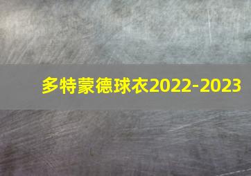 多特蒙德球衣2022-2023