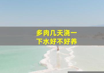 多肉几天浇一下水好不好养