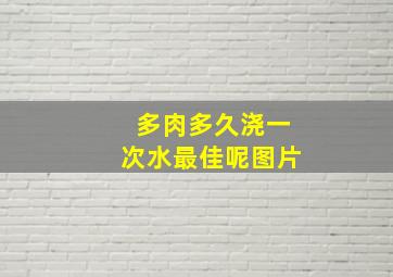 多肉多久浇一次水最佳呢图片