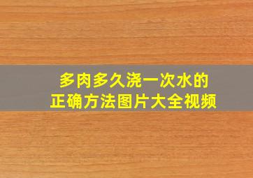 多肉多久浇一次水的正确方法图片大全视频