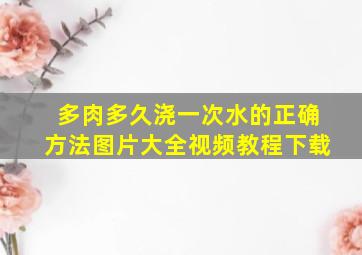 多肉多久浇一次水的正确方法图片大全视频教程下载