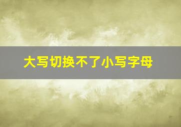 大写切换不了小写字母