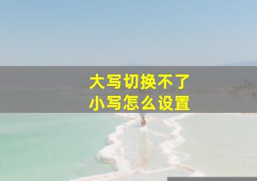 大写切换不了小写怎么设置