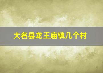 大名县龙王庙镇几个村