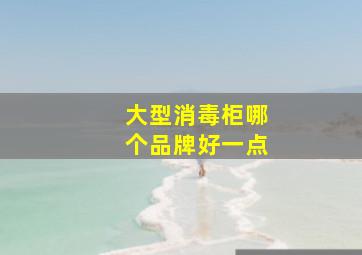 大型消毒柜哪个品牌好一点