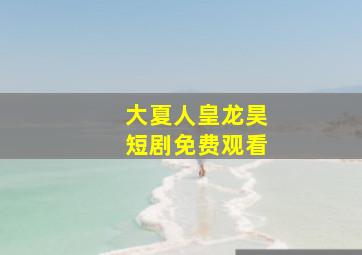 大夏人皇龙昊短剧免费观看