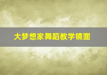 大梦想家舞蹈教学镜面