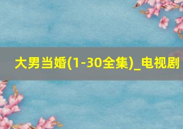 大男当婚(1-30全集)_电视剧