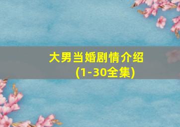 大男当婚剧情介绍(1-30全集)