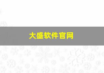 大盛软件官网