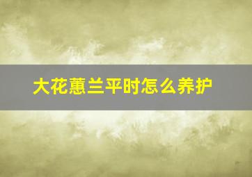 大花蕙兰平时怎么养护